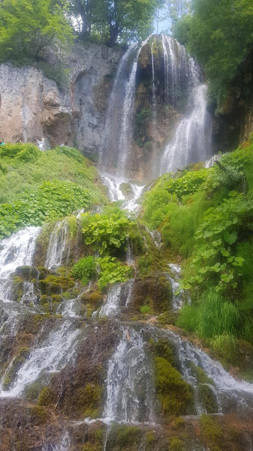 Vila Zlatar Bed & Breakfast Nova Varoš Dış mekan fotoğraf